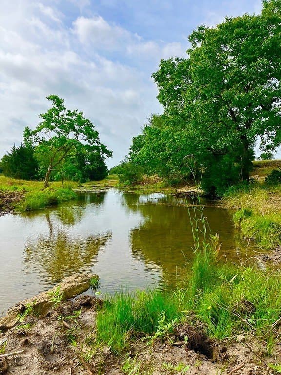 31.5 acres in Washington County - photo 14