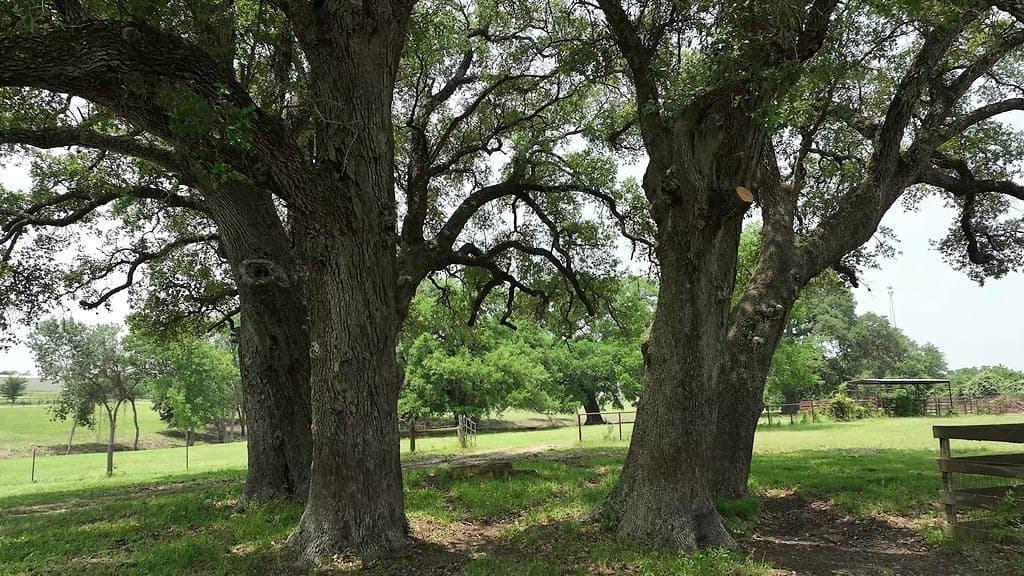 31.5 acres in Washington County - photo 9