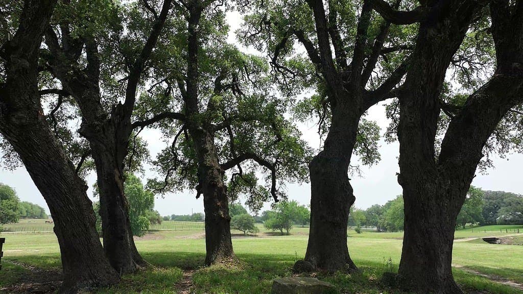 31.5 acres in Washington County - photo 10