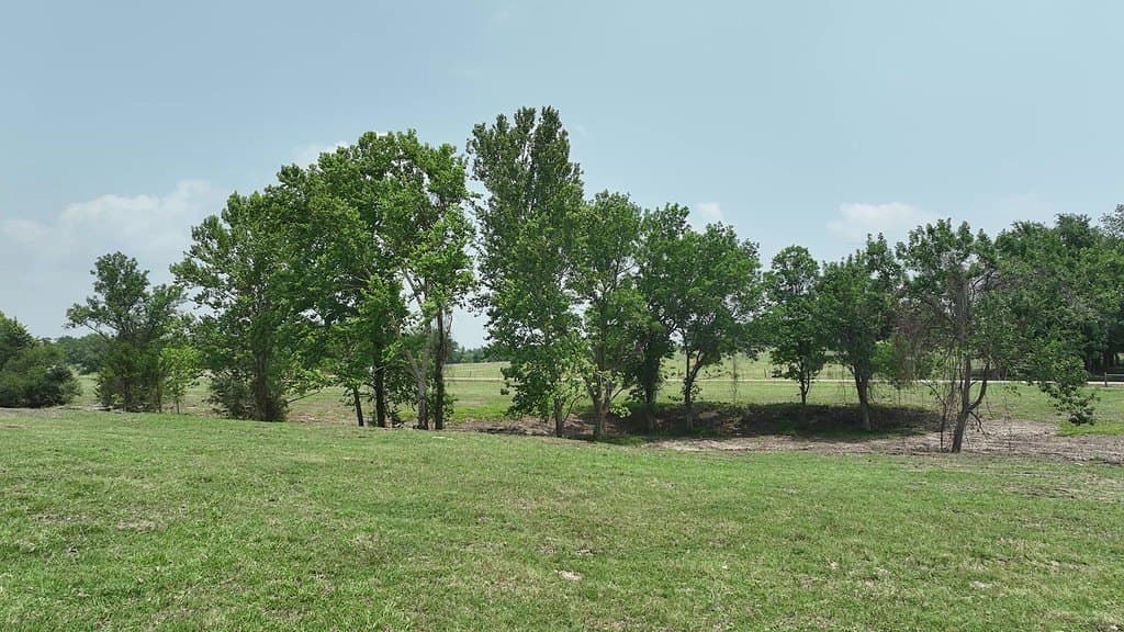 31.5 acres in Washington County - photo 15