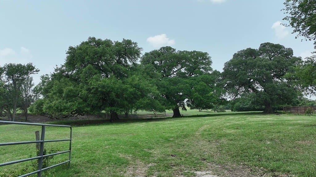31.5 acres in Washington County - photo 11