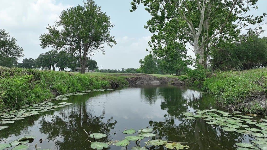 31.5 acres in Washington County - photo 5