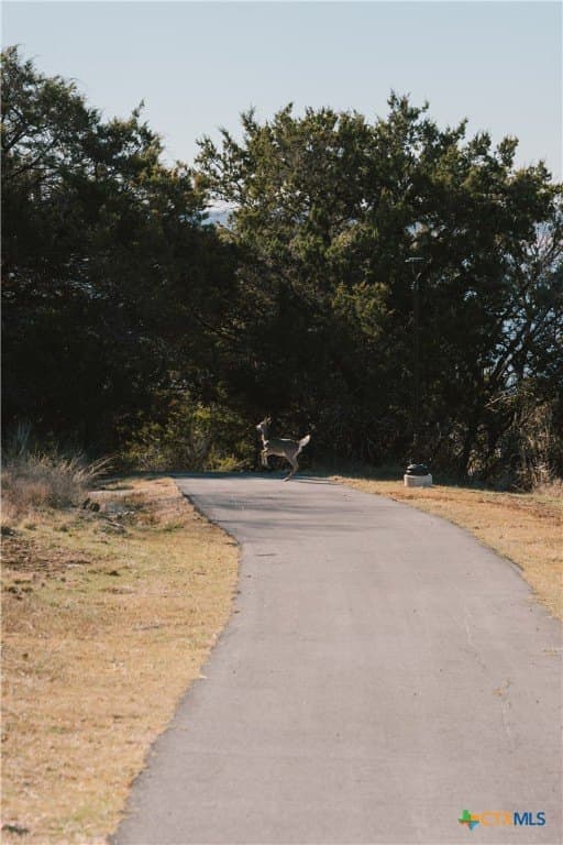 0.74 acres in Bell County - photo 11