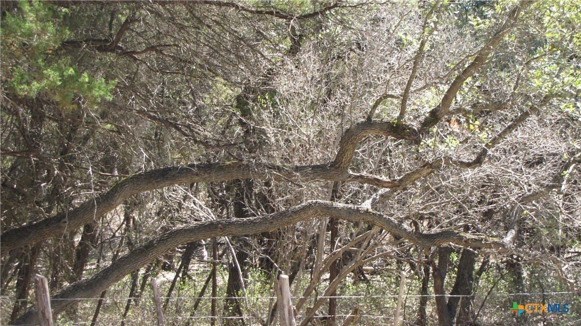 1.39 acres in Comal County - photo 4