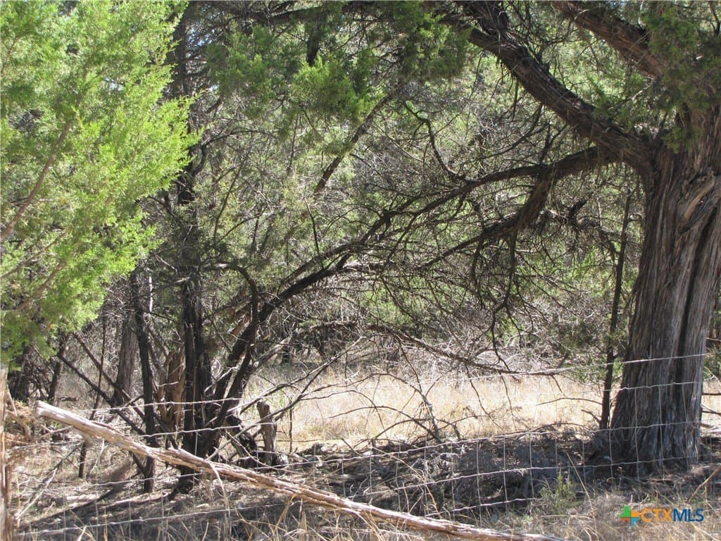 1.39 acres in Comal County - photo 3