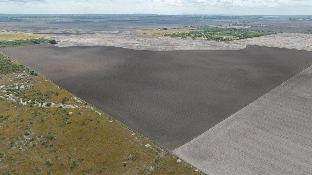 214.96 acres in San Patricio County - photo 9