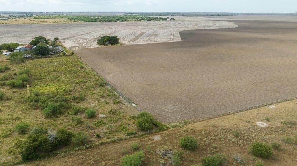 214.96 acres in San Patricio County - photo 8