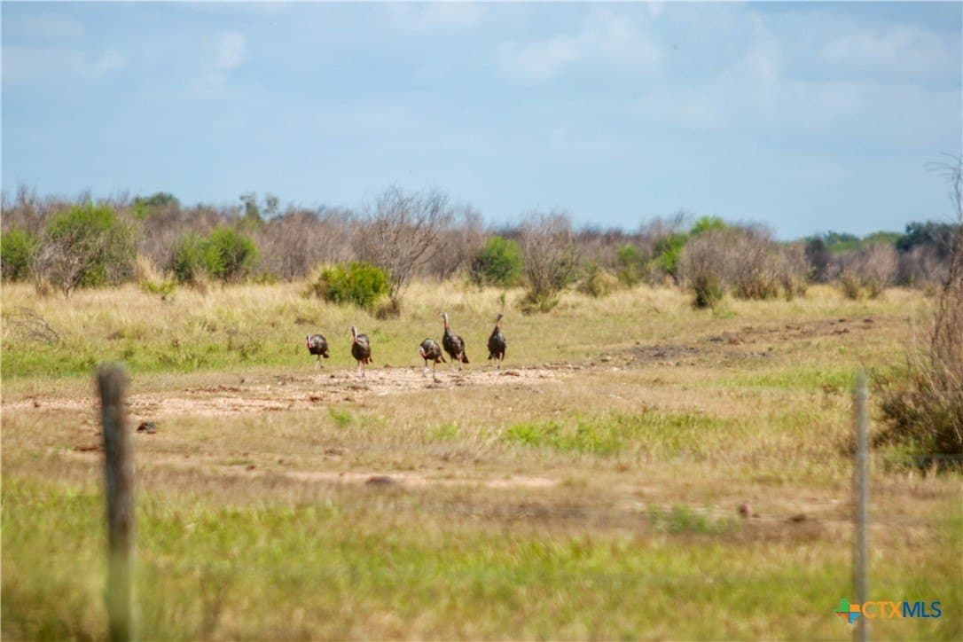 161.72 acres in Refugio County - photo 18