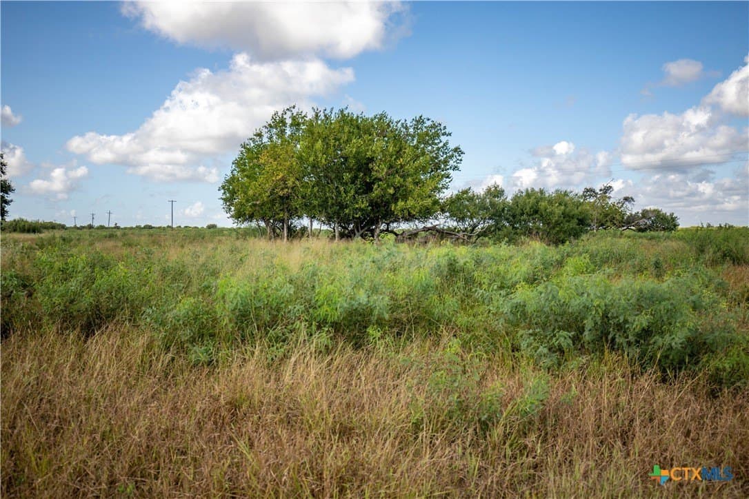 161.72 acres in Refugio County - photo 39