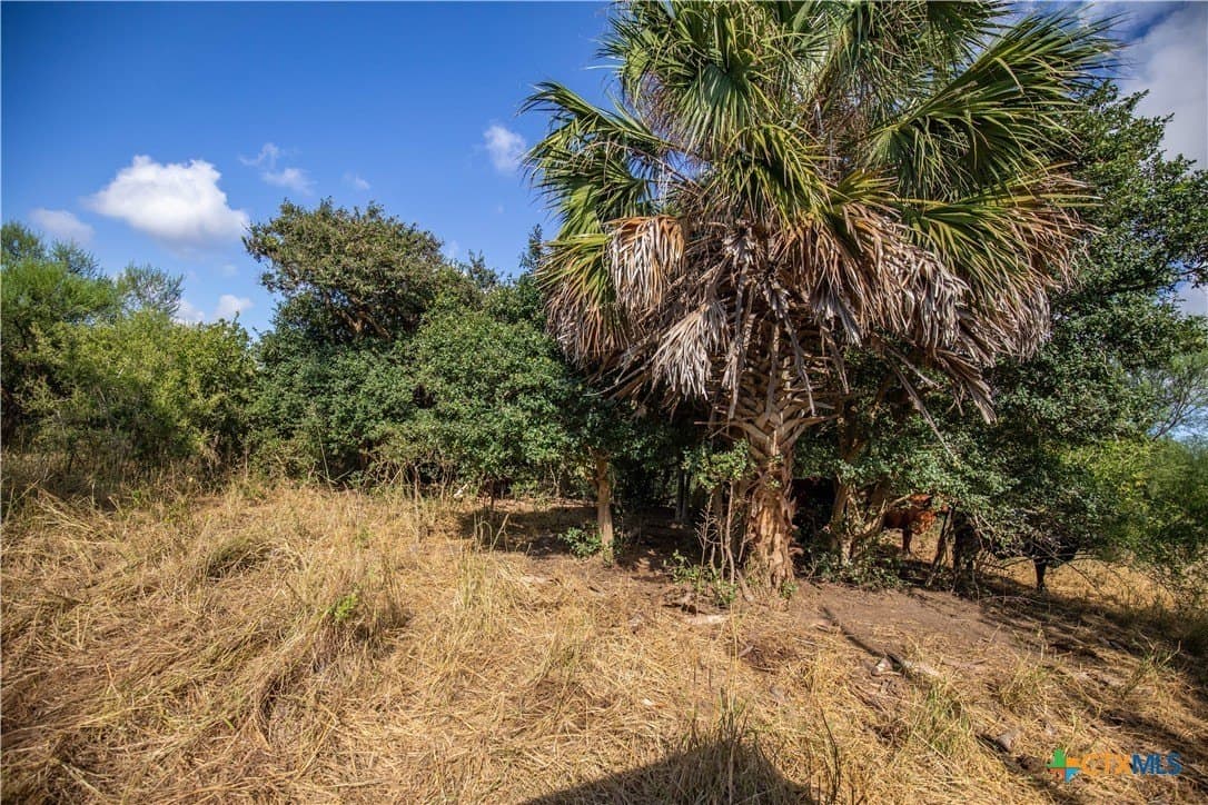 161.72 acres in Refugio County - photo 29