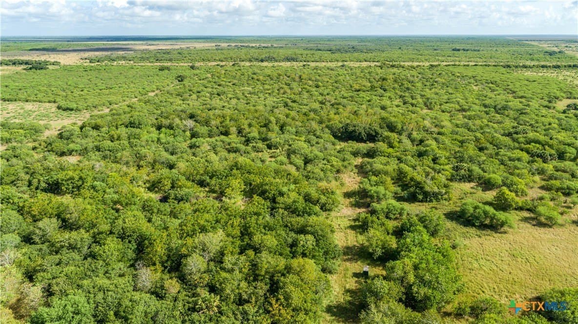 161.72 acres in Refugio County - photo 6