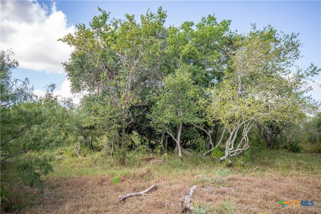 161.72 acres in Refugio County - photo 34