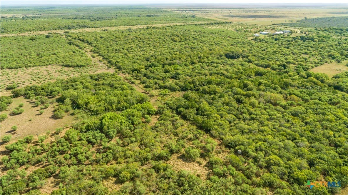 161.72 acres in Refugio County - photo 3