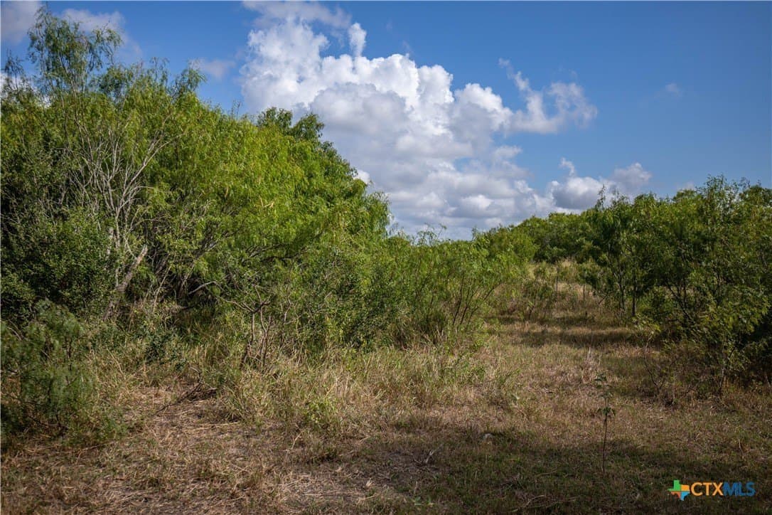 161.72 acres in Refugio County - photo 33