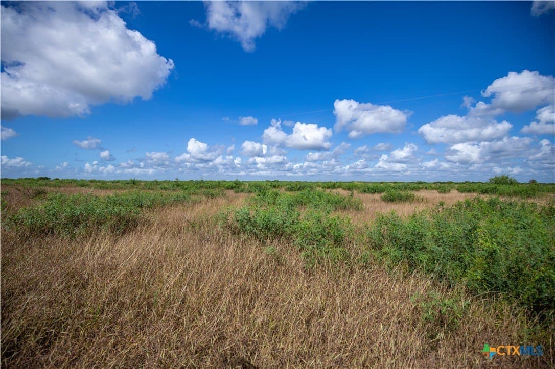 161.72 acres in Refugio County - photo 41
