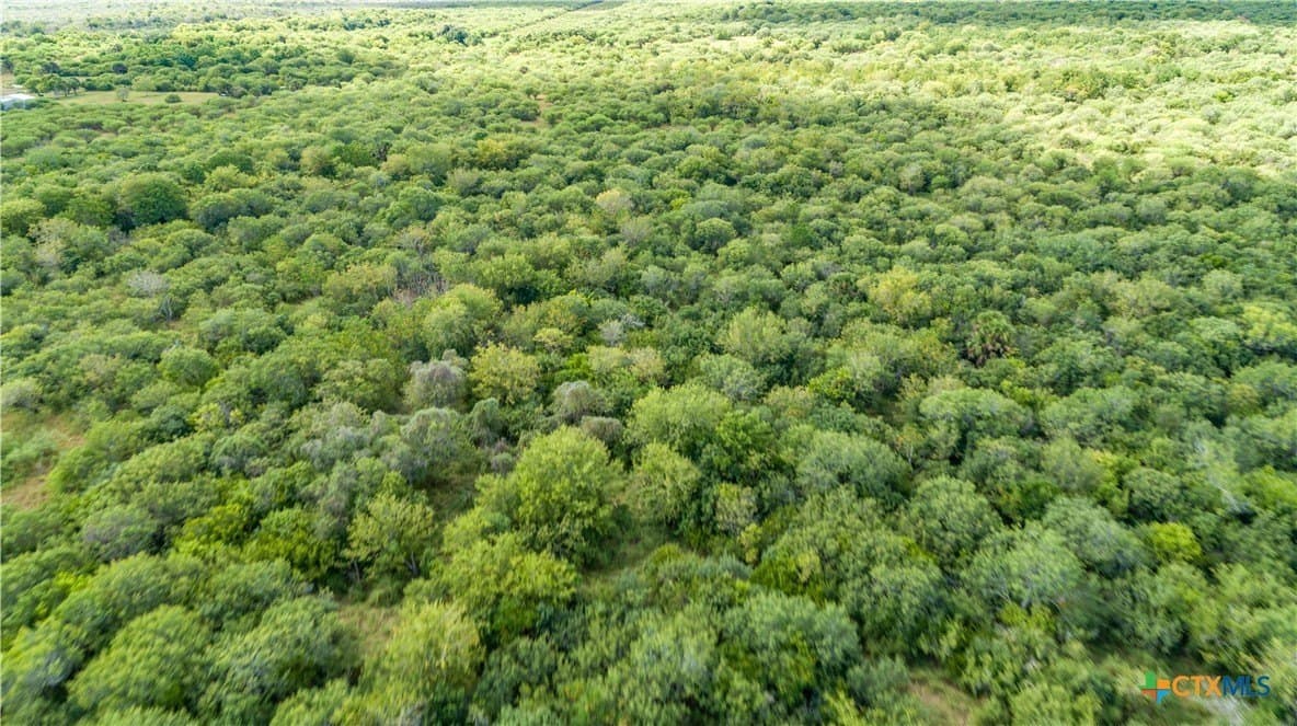 161.72 acres in Refugio County - photo 11