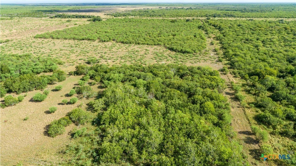 161.72 acres in Refugio County - photo 5