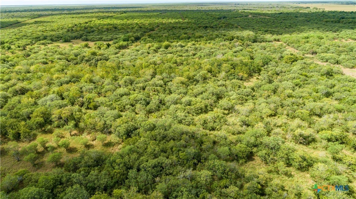161.72 acres in Refugio County - photo 12