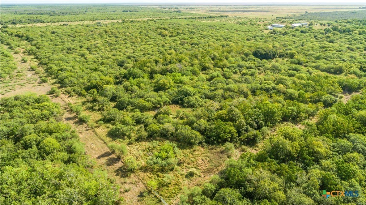 161.72 acres in Refugio County - photo 4