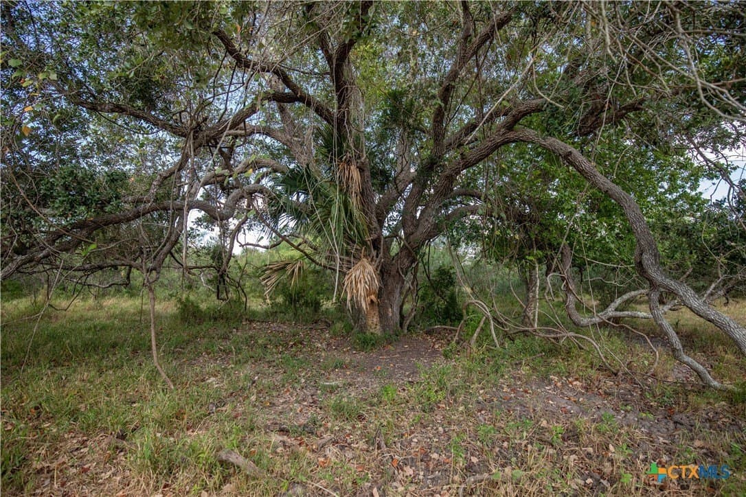 161.72 acres in Refugio County - photo 35