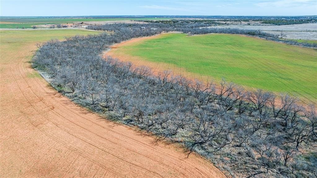 73.83 acres in Stonewall County - photo 22