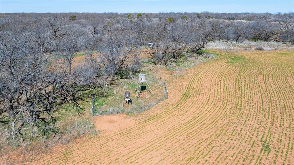 73.83 acres in Stonewall County - photo 23