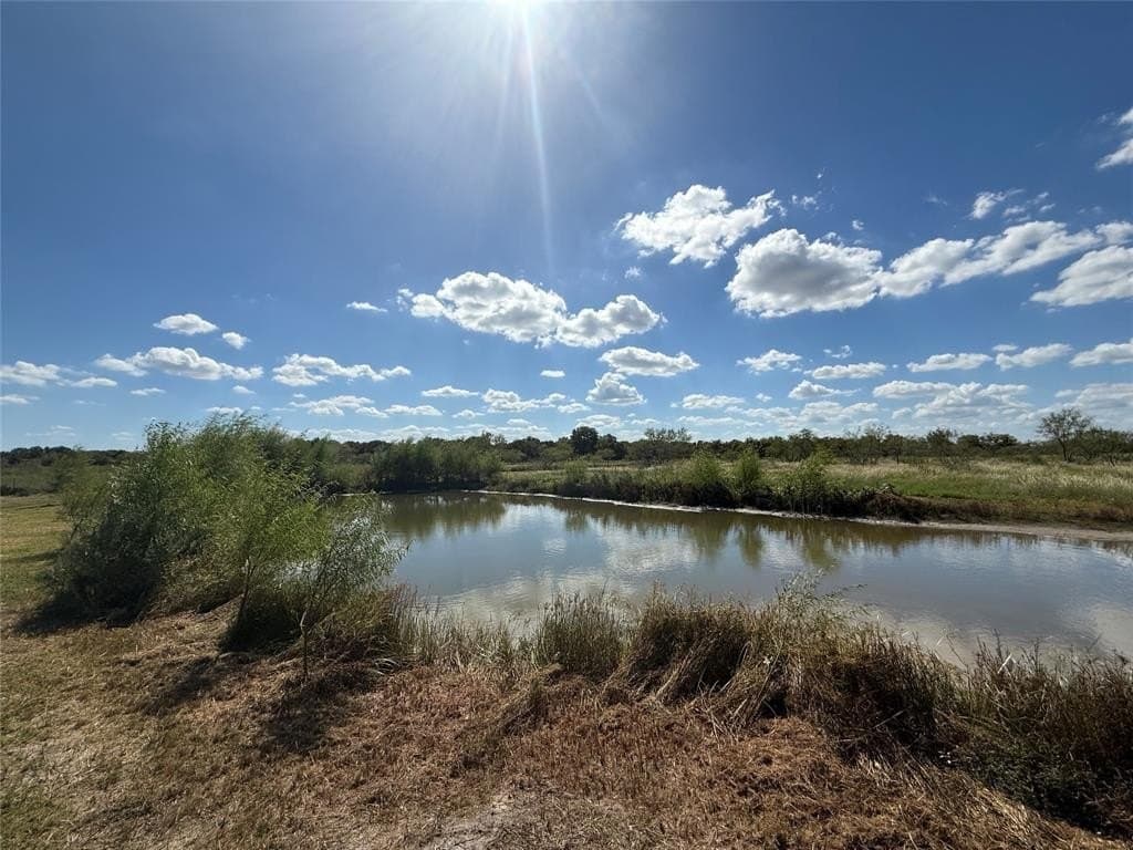 7.5 acres in Navarro County - photo 17