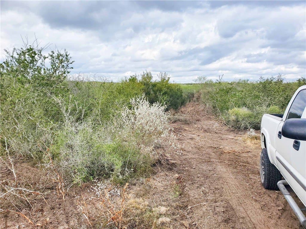 10.19 acres in Live Oak County - photo 5