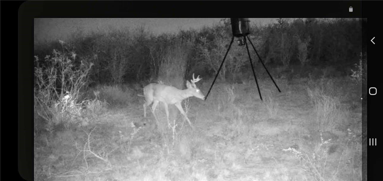 10.19 acres in Live Oak County - photo 3