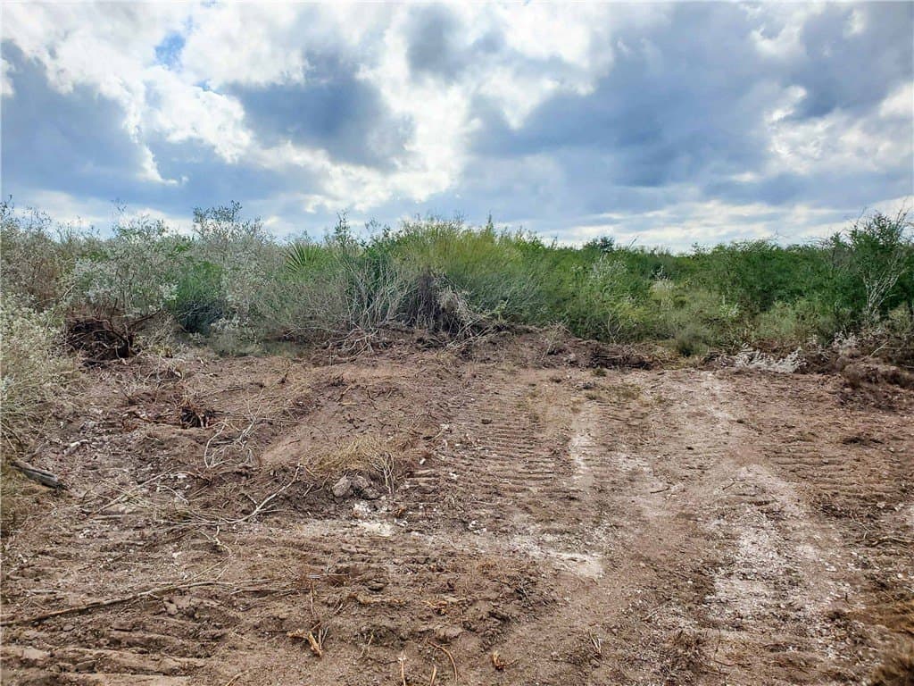 10.19 acres in Live Oak County - photo 9