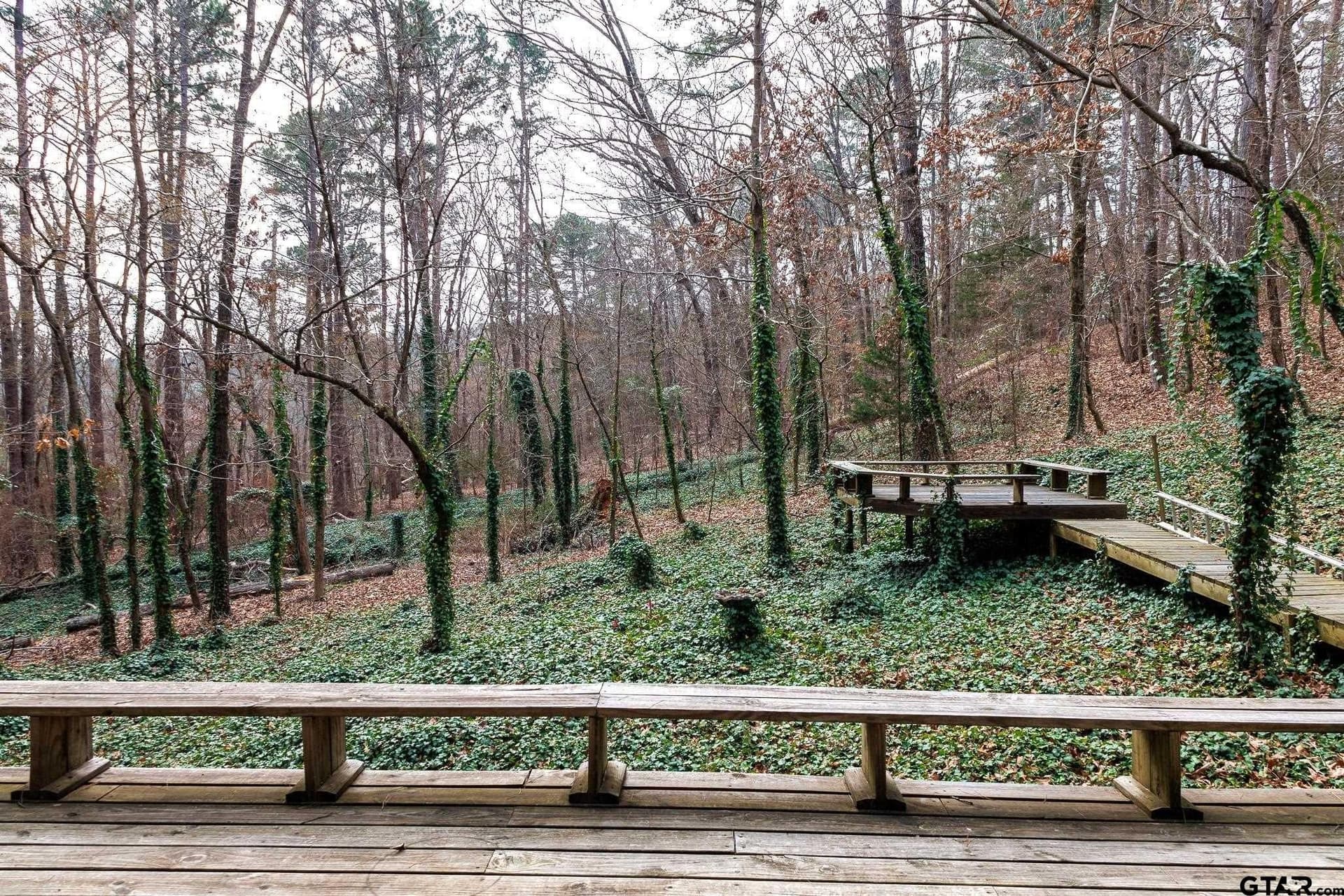 25 acres in Smith County - photo 4