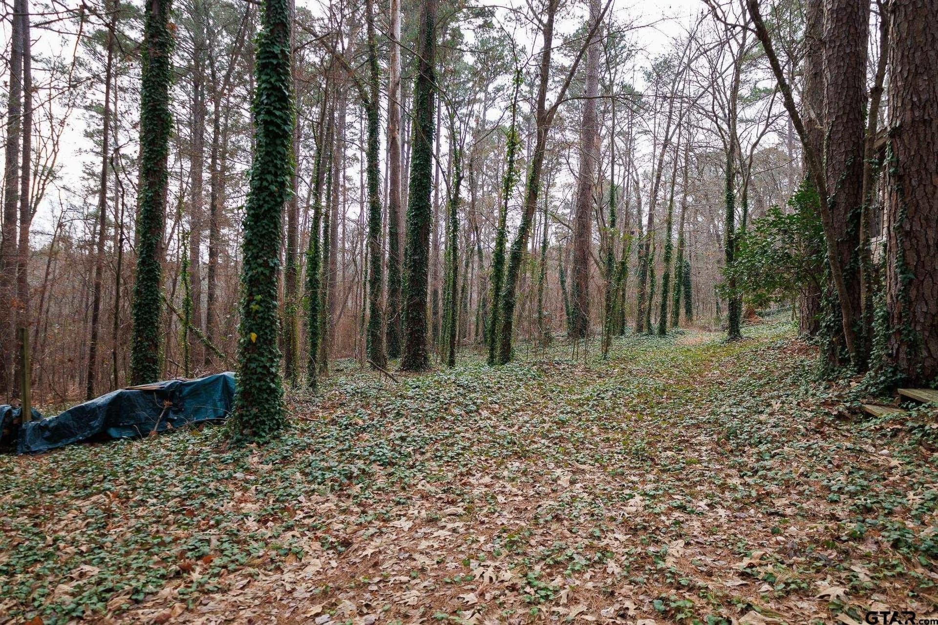 25 acres in Smith County - photo 8