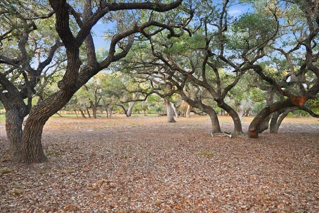 0 acres in Texas County - photo 2