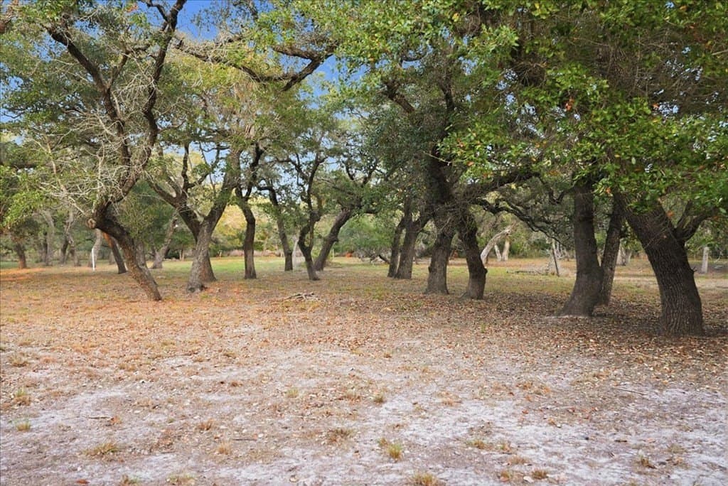 0 acres in Texas County - photo 32