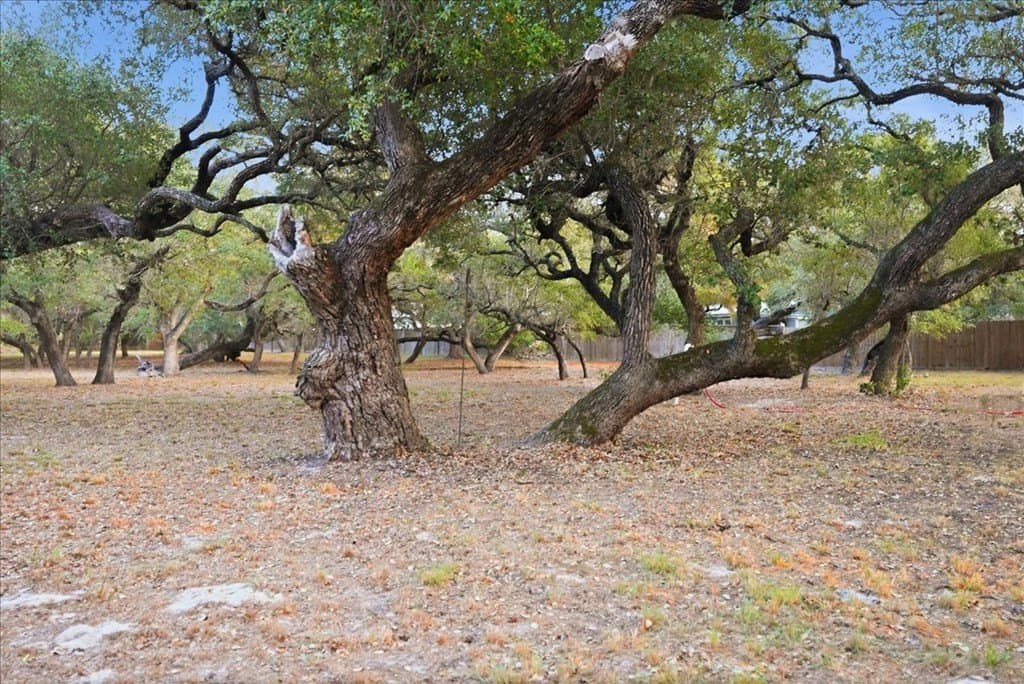 0 acres in Texas County - photo 31