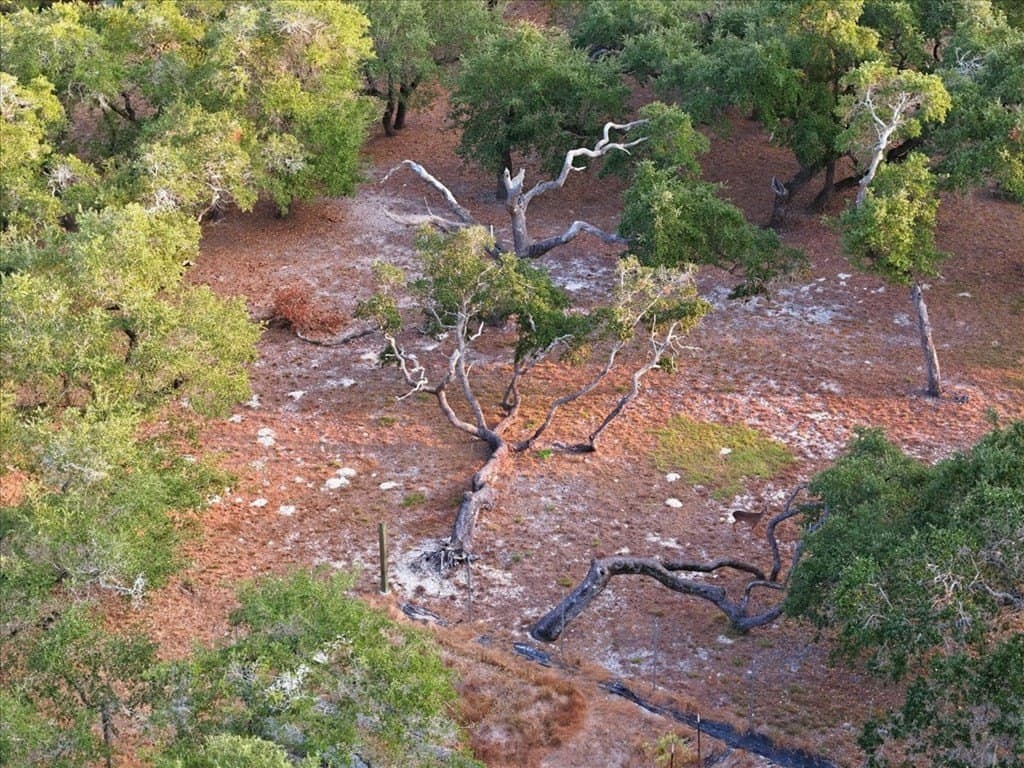 0 acres in Texas County - photo 15
