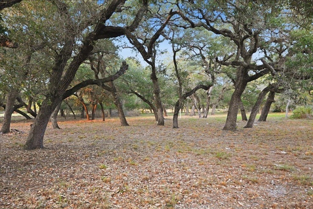 0 acres in Texas County - photo 34