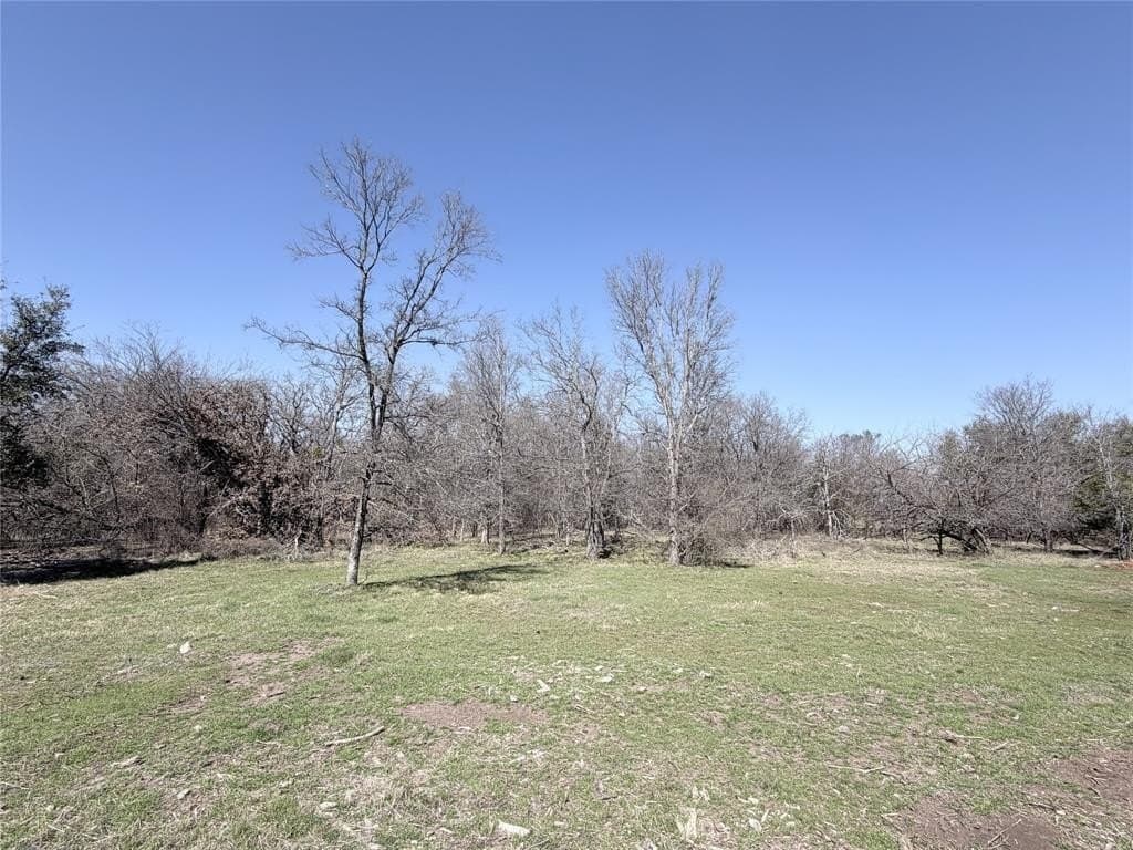 3 acres in Hill County - photo 4