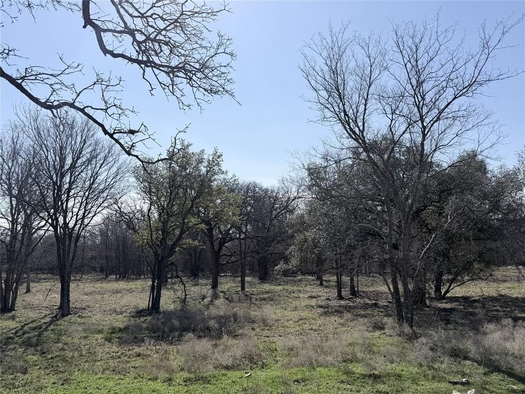 3 acres in Hill County - photo 3