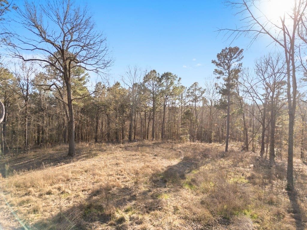 10.5 acres in ANDERSON County - photo 11