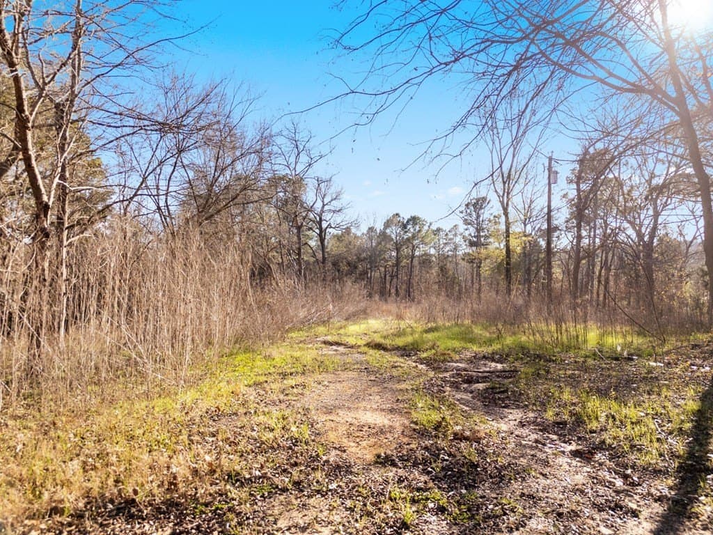 10.5 acres in ANDERSON County - photo 10