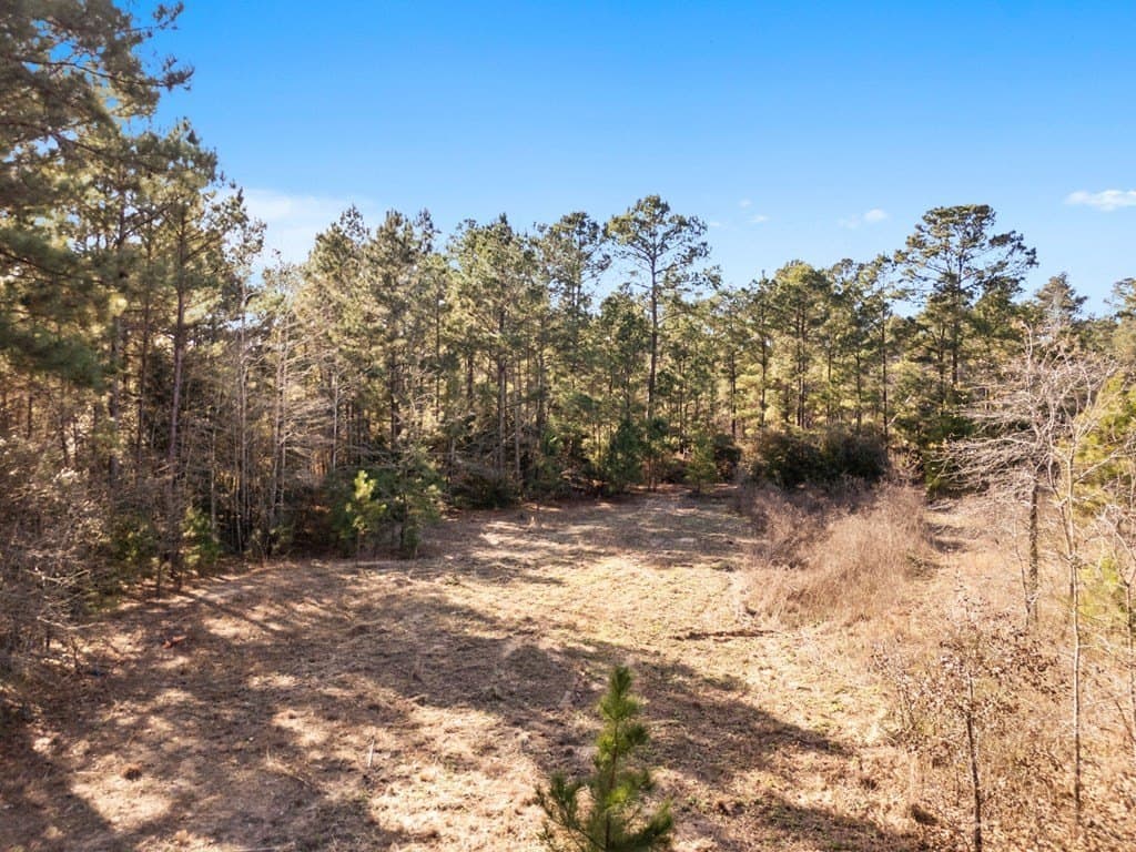 10.5 acres in ANDERSON County - photo 8