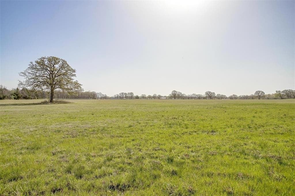 114.3 acres in Henderson County - photo 19