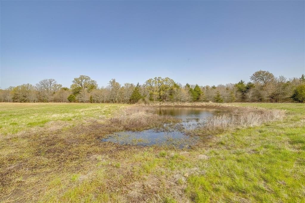 114.3 acres in Henderson County - photo 17