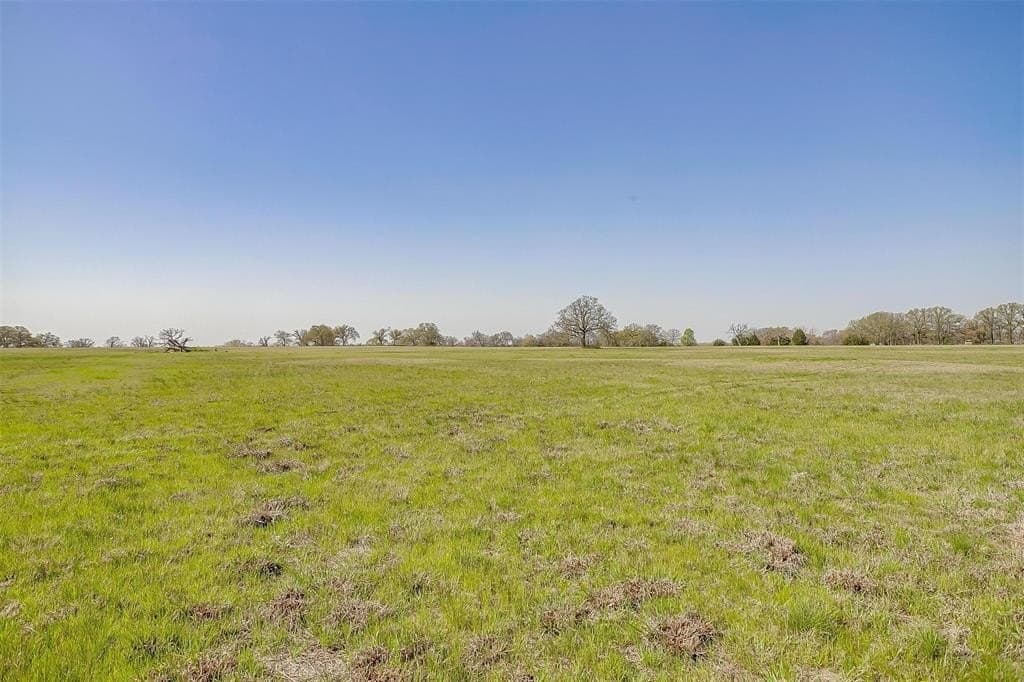 114.3 acres in Henderson County - photo 18