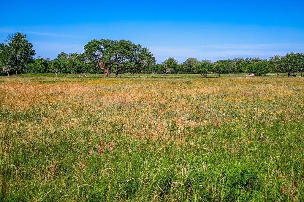 8.93 acres in Fayette County - photo 8