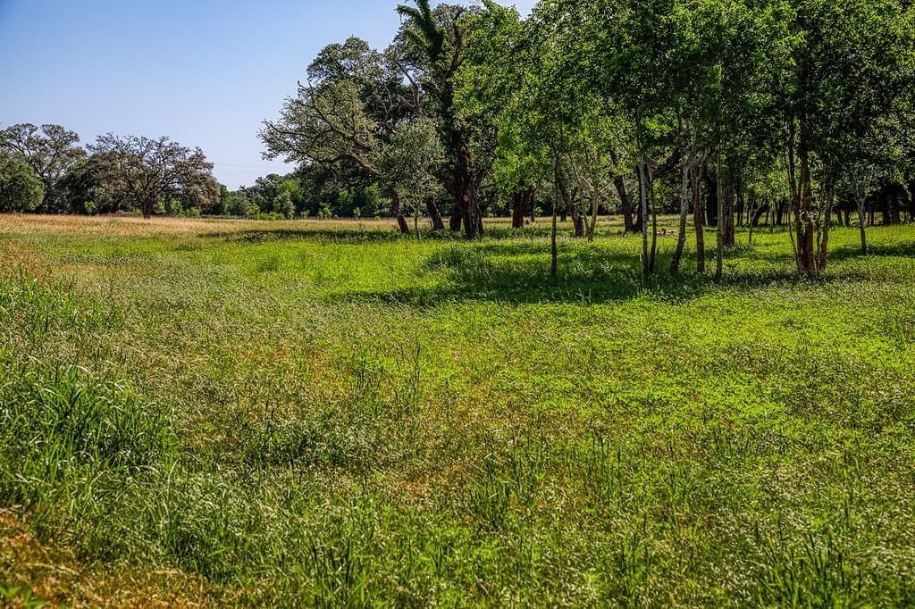 8.93 acres in Fayette County - photo 10