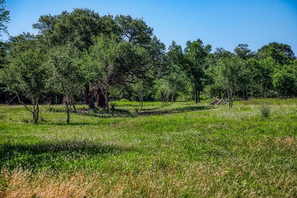 8.93 acres in Fayette County - photo 6