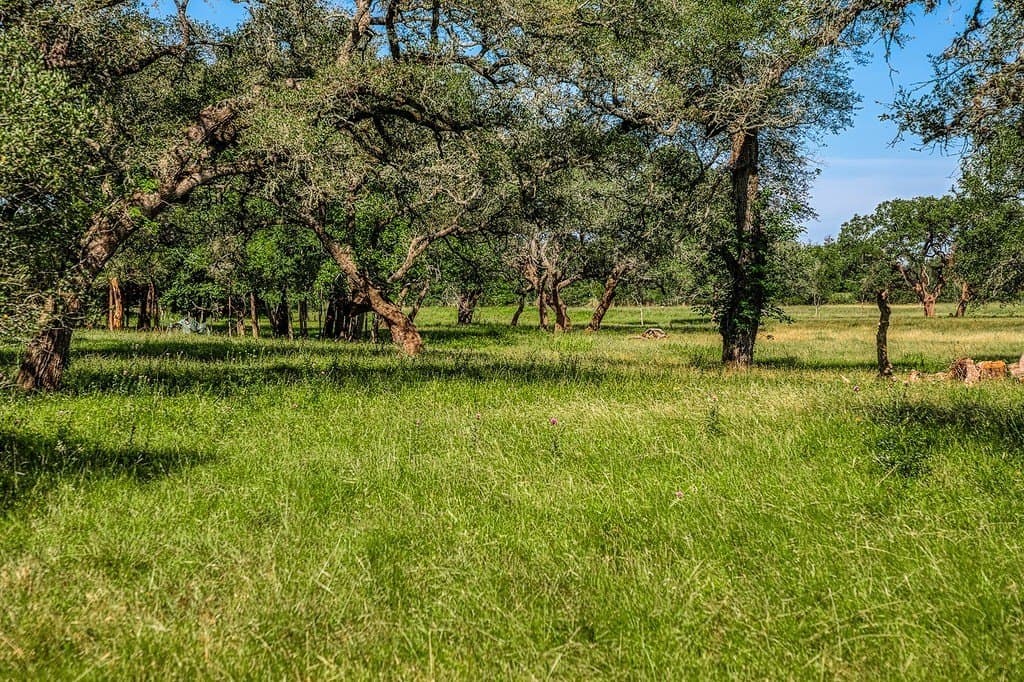 8.93 acres in Fayette County - photo 7