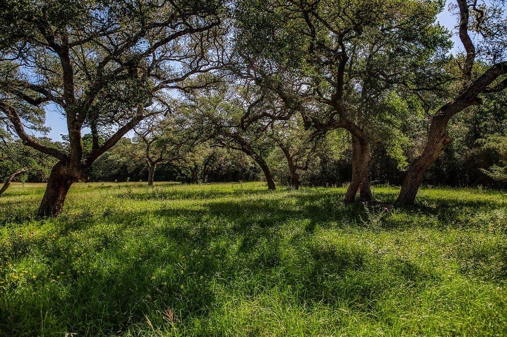 8.93 acres in Fayette County - photo 3